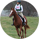 Donna B. profile picture